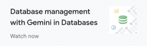Database management with Gemini